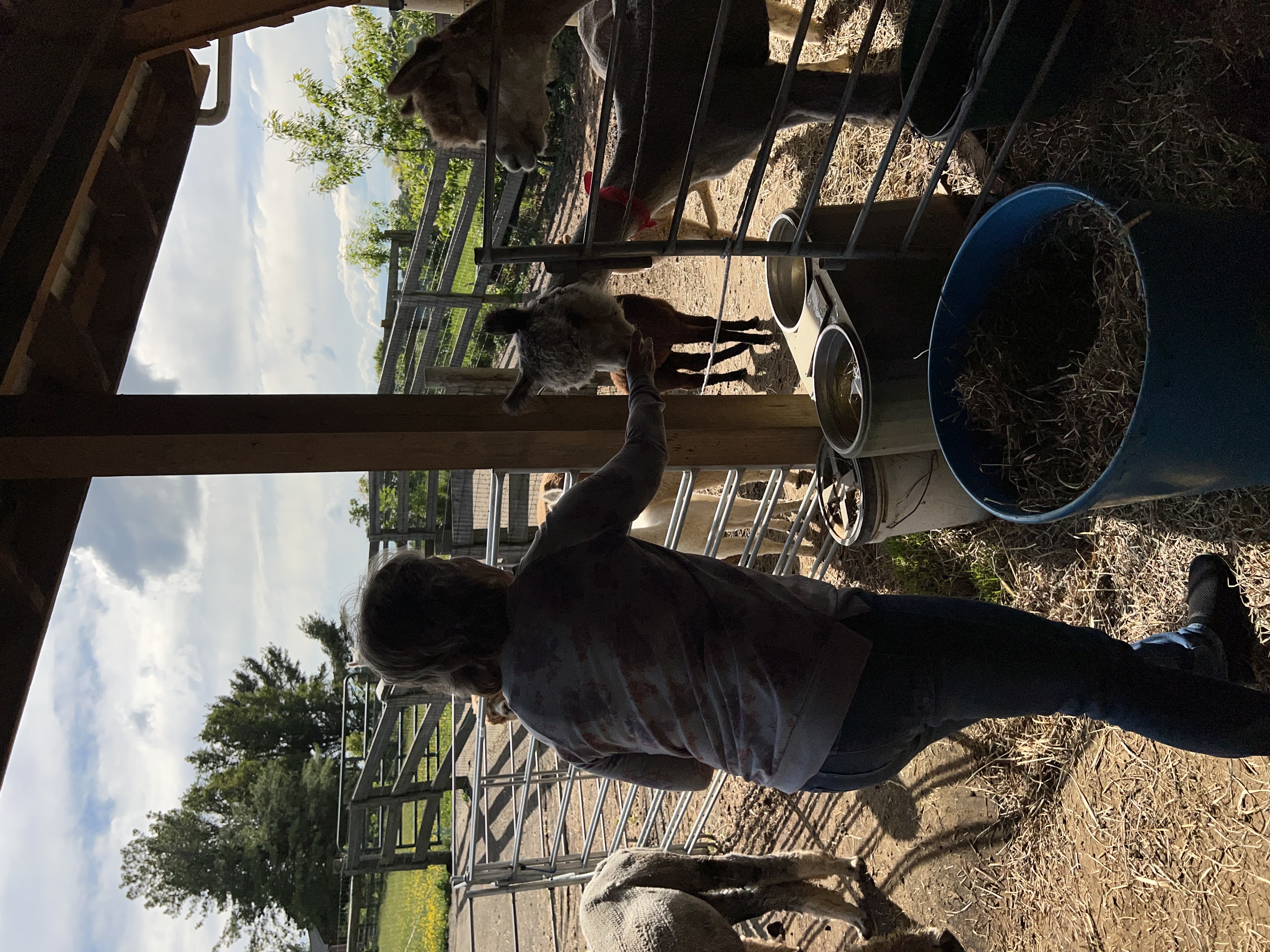 ./2025/04 - Virginia Creeper/IMG_5581.JPG